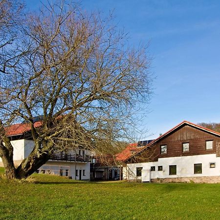 Penzion Hrádek Hotel Novy Hradek Exterior foto