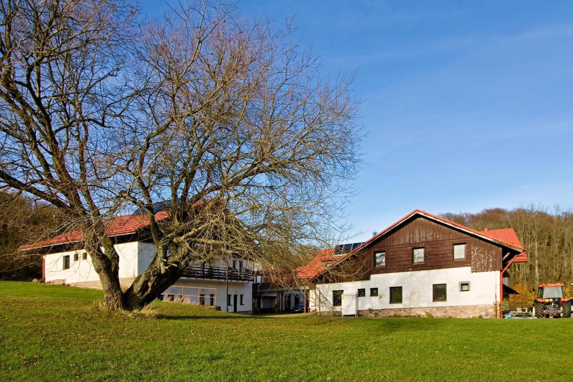 Penzion Hrádek Hotel Novy Hradek Exterior foto